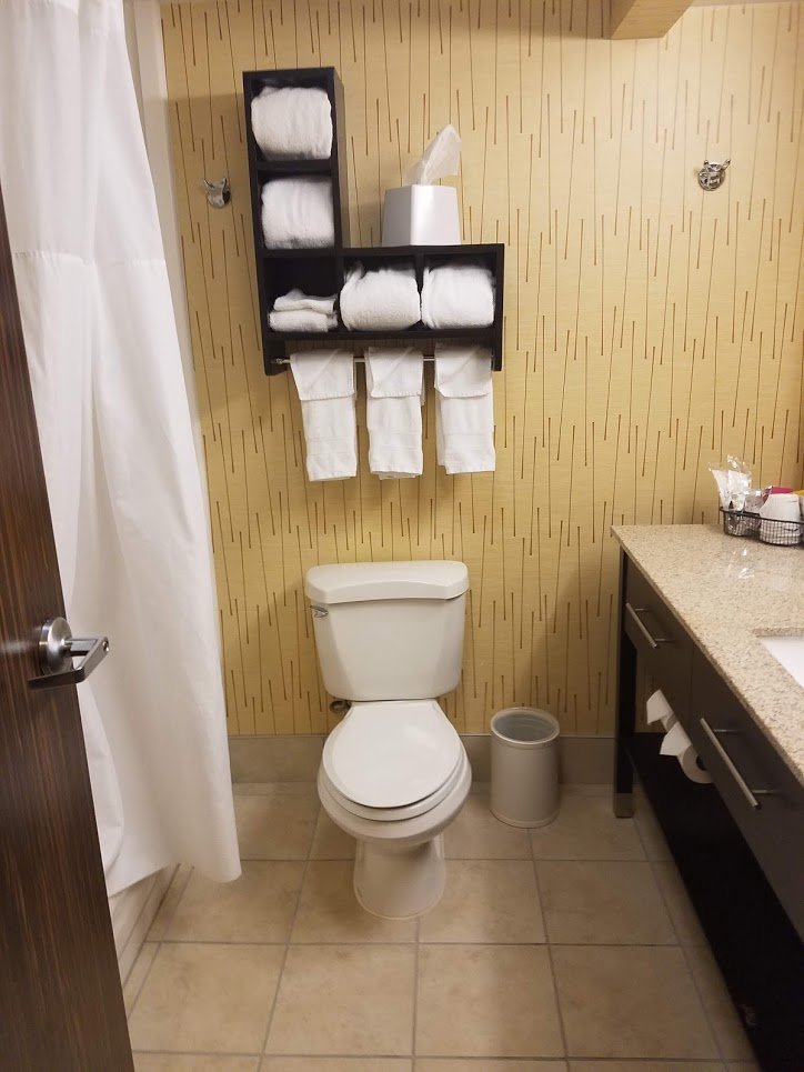 Hampton Inn Johnstown-浴室