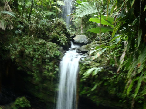 Natural Wonders Puerto Rico-圣胡安必去景点