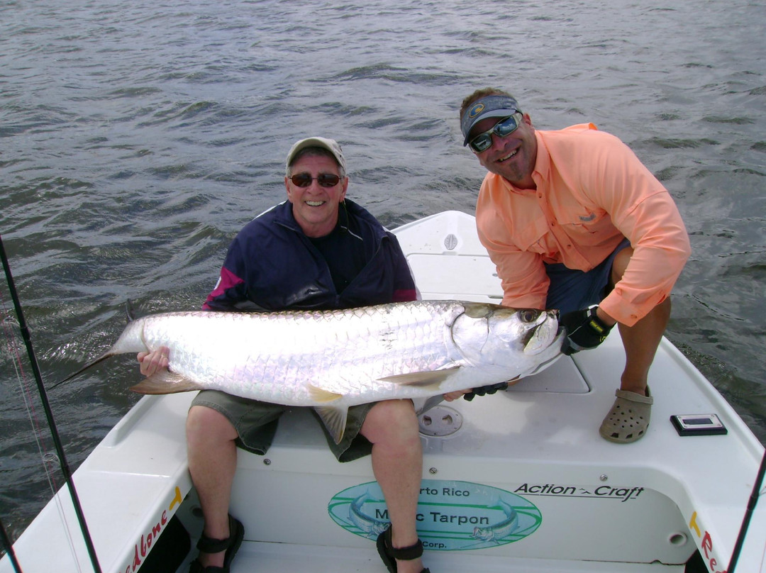 Puerto Rico Magic Tarpon-圣胡安必去景点