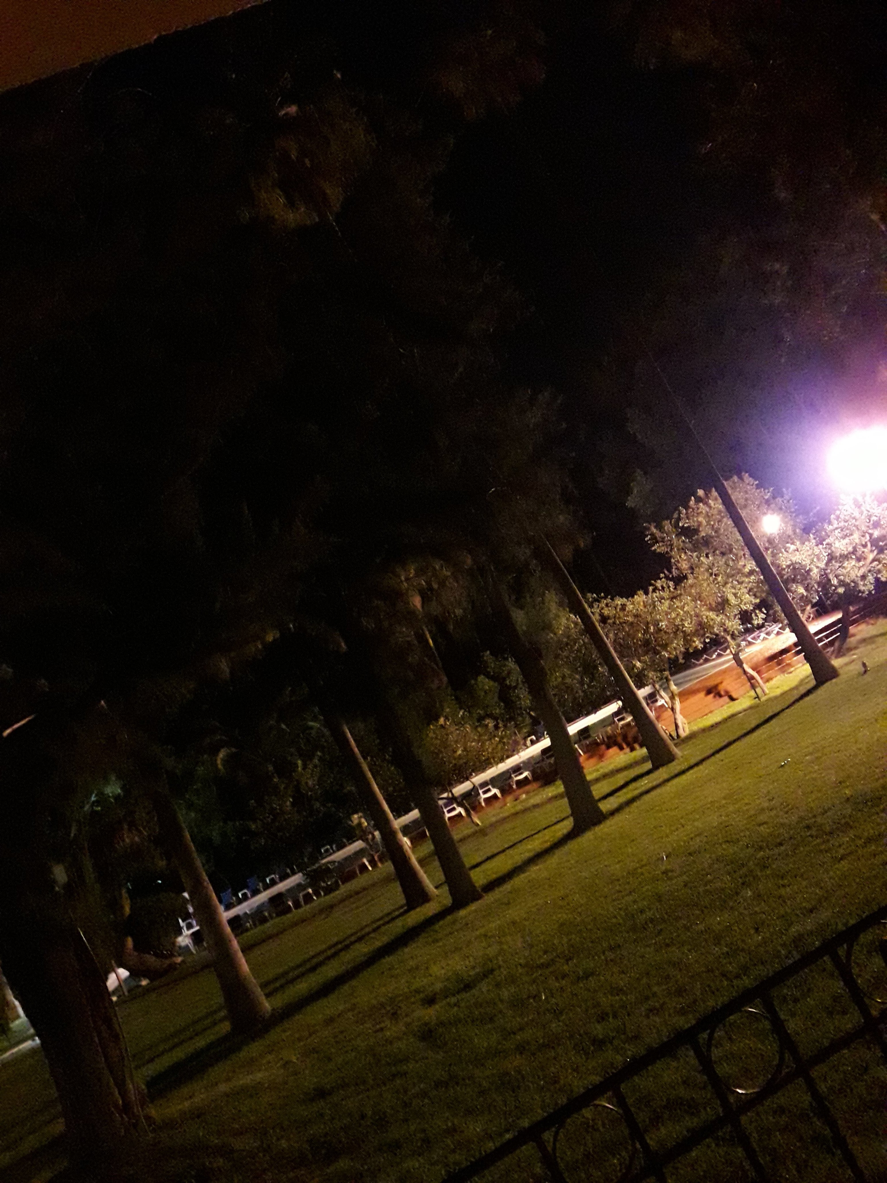 Misión Comanjilla-泳池