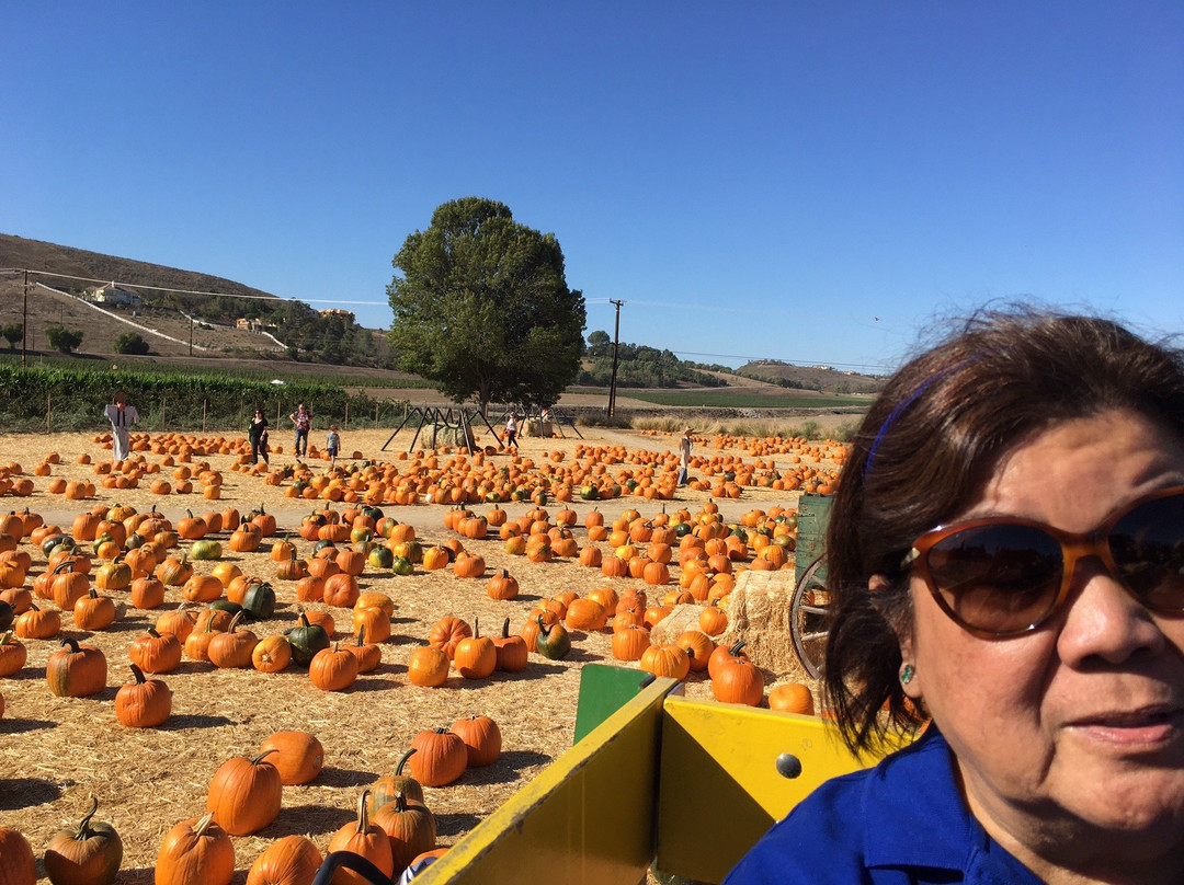 Underwood Family Farms - Moorpark-Moorpark必去景点