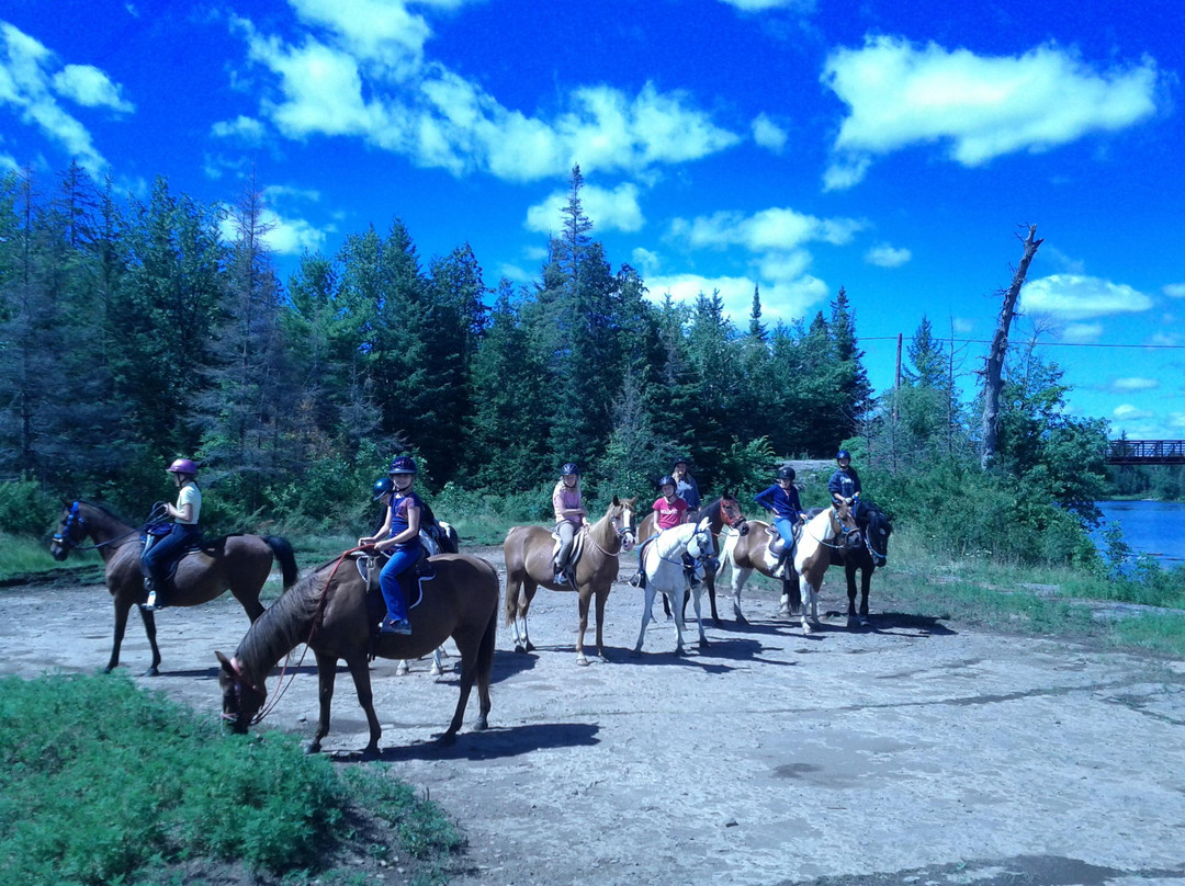 Horsin Around Riding Ranch景点图片