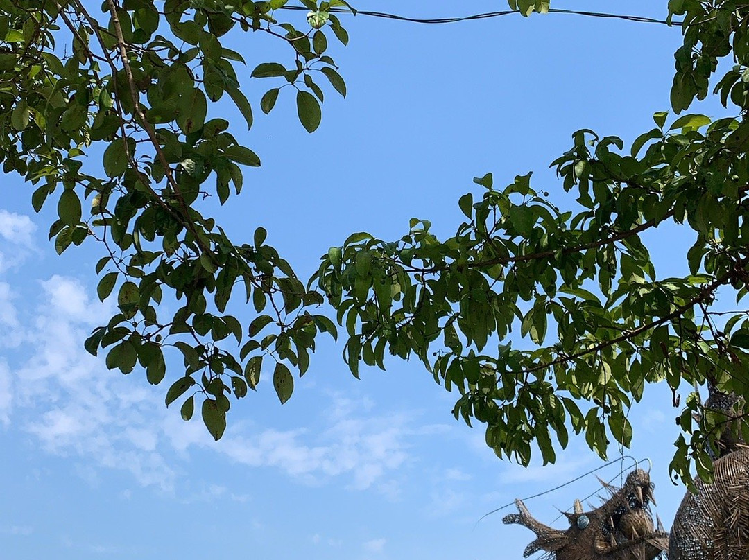 Gimje Horizon Festival-金堤市必去景点