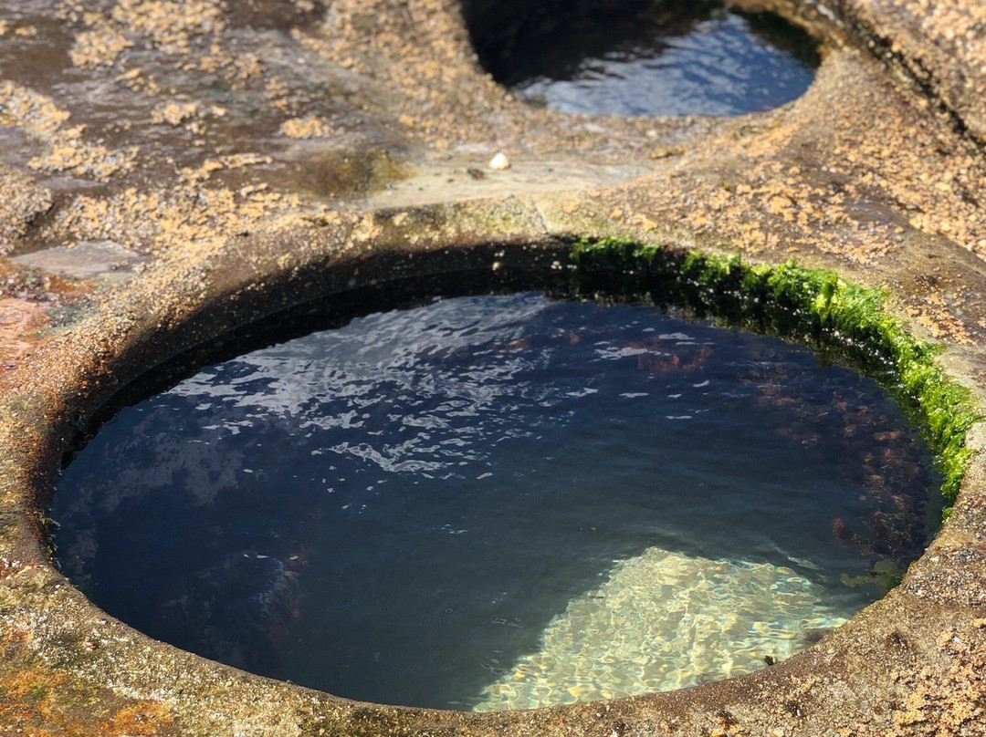 Figure Eight Pools-Royal National Park必去景点