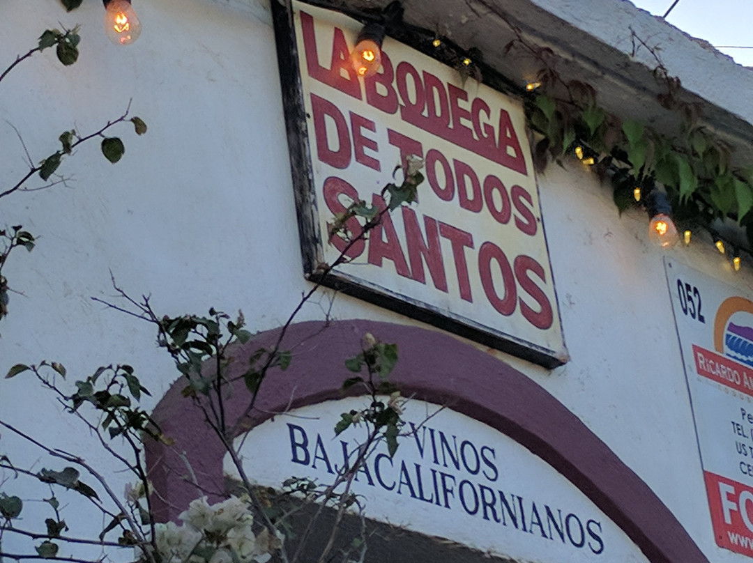 La Bodega de Todos Santos-托多斯桑托斯必去景点