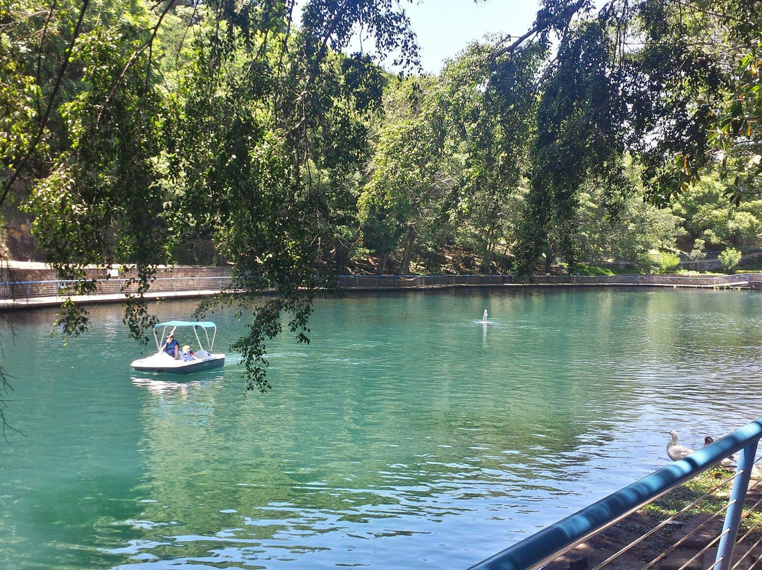 Parque Barranca Chapultepec景点图片