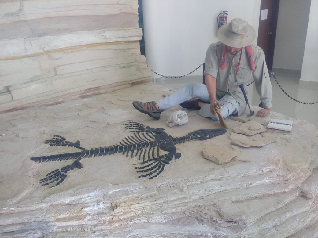 Museo de Paleontologia de Muzquiz景点图片