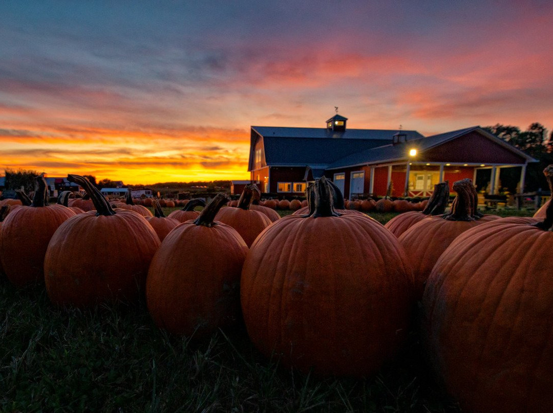 Penfield旅游景点-Wickham Farms