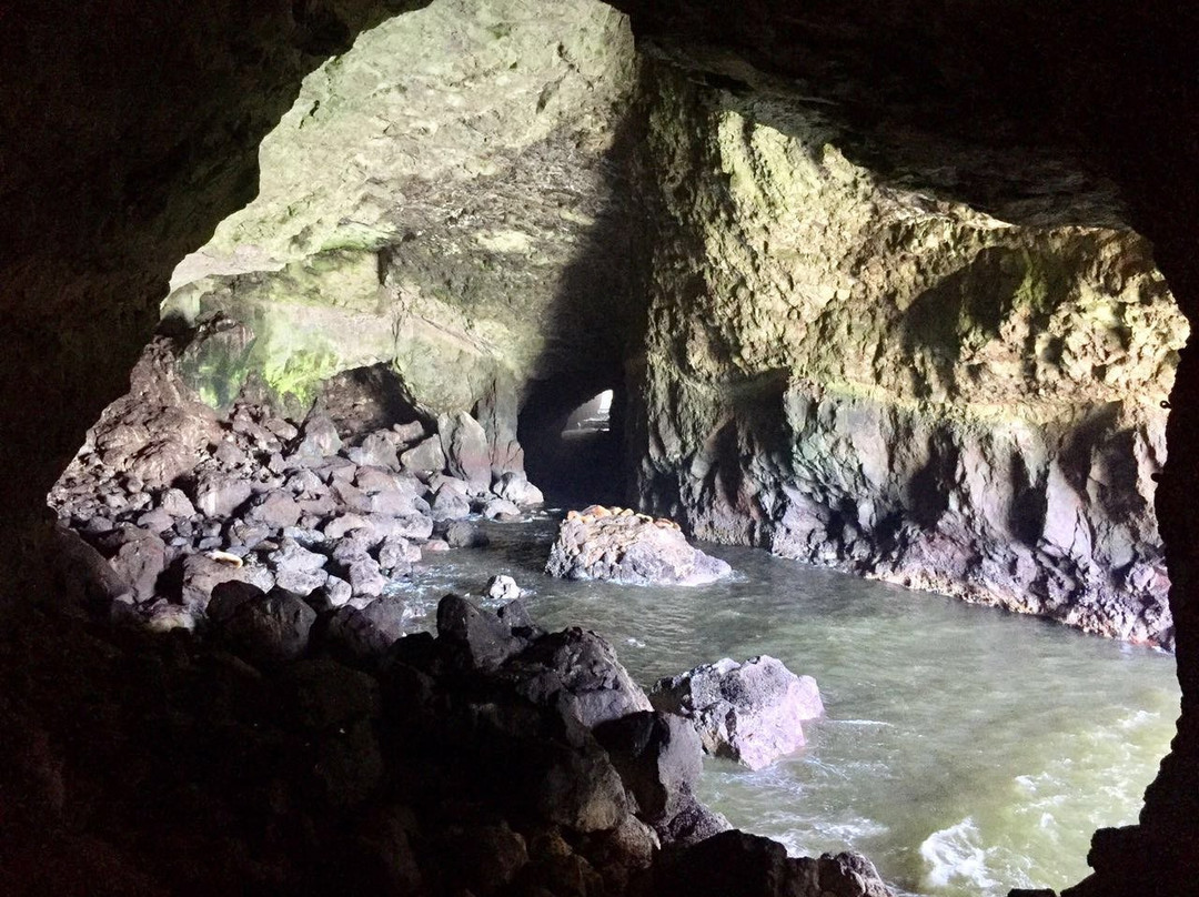 Sea Lion Caves景点图片