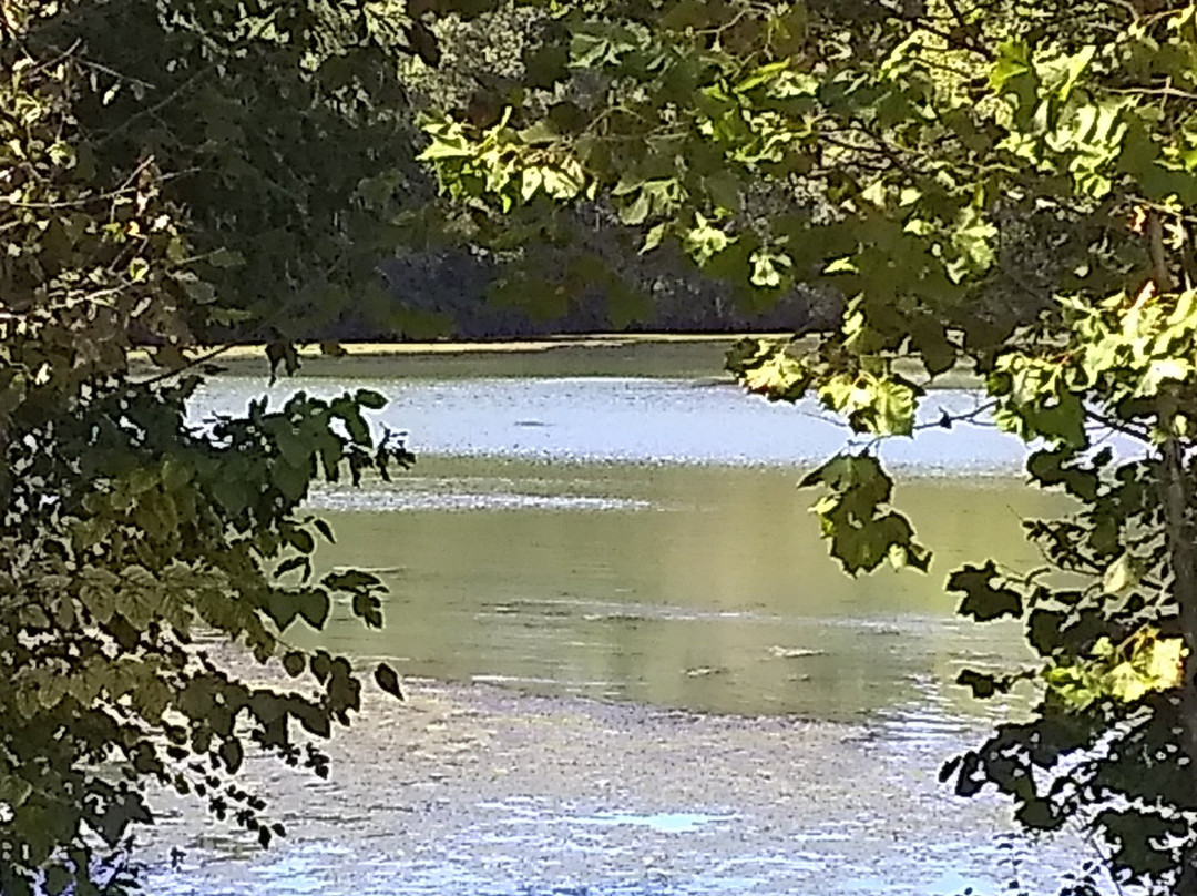 Valley Watermill Park-斯普林菲尔德必去景点