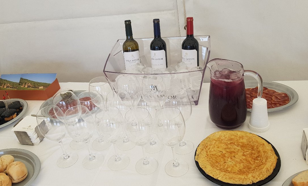 Bodegas Vina Mayor-Quintanilla de Onesimo必去景点