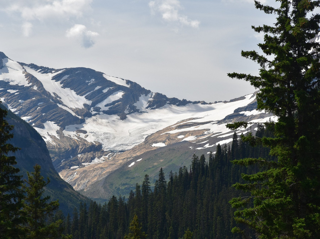 Jackson Glacier Overlook景点图片