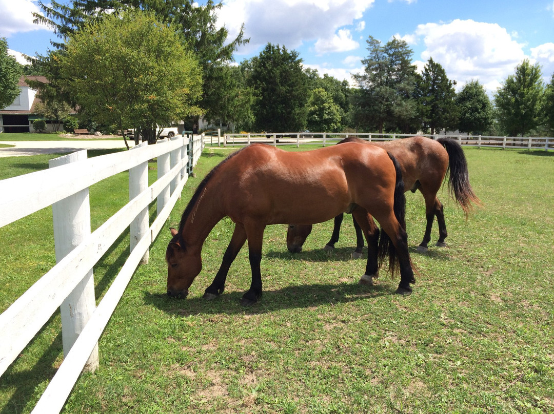 Danada Equestrian Center-Wheaton必去景点