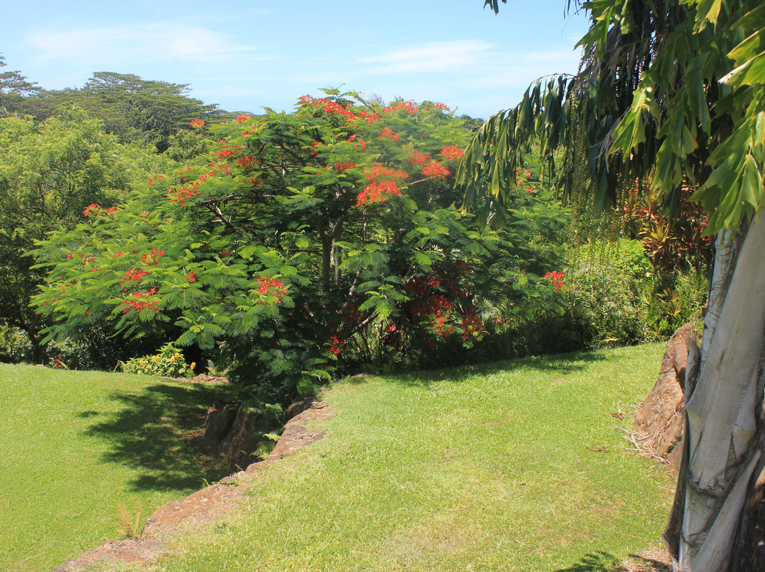 Kauai Island Experience-普林斯维尔必去景点