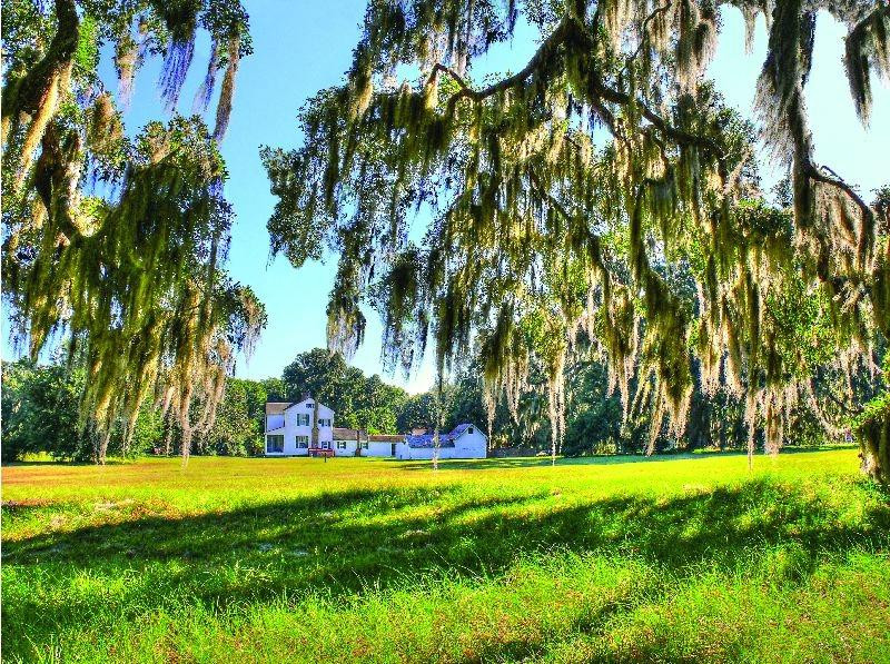 不伦瑞克旅游景点-Hofwyl-Broadfield Plantation