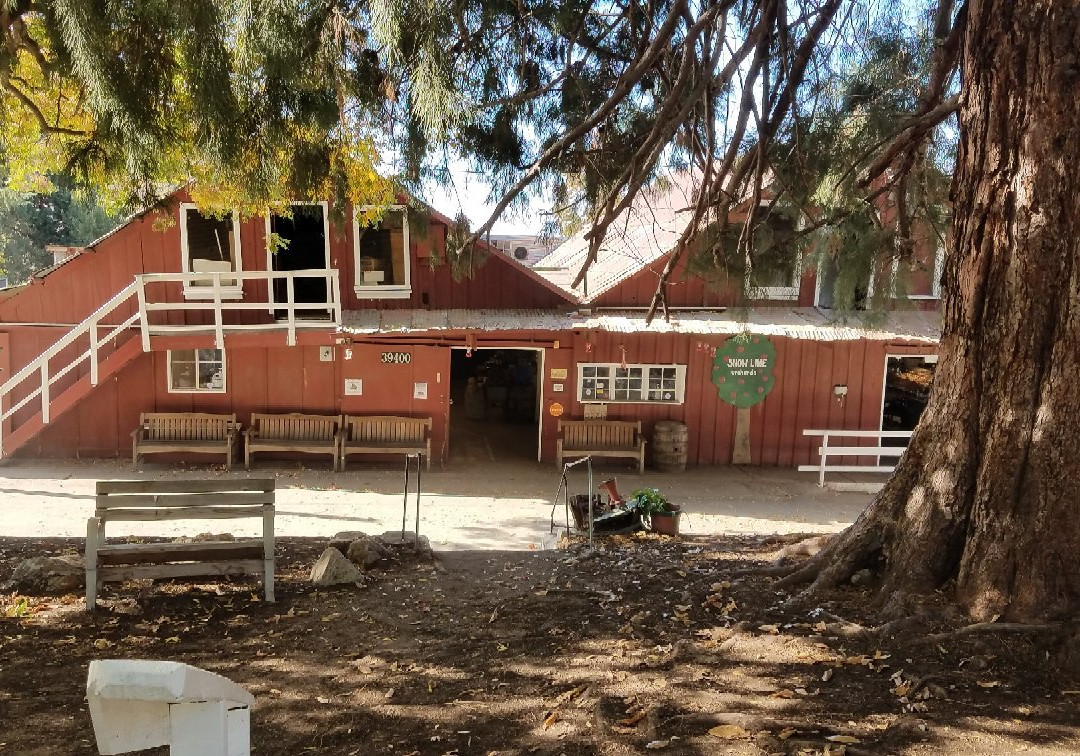 Forest Falls旅游景点-Snowline Apple Orchard