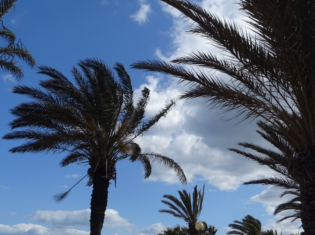 Yasmin Hammamet-哈玛麦德必去景点