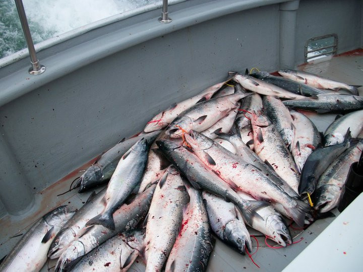 The Fish House, Fishing Charters-苏厄德必去景点