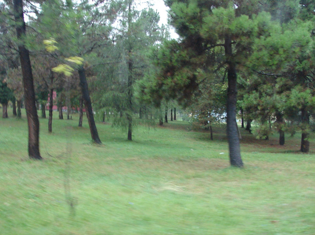 Caycuma Belediyesi Seka Konuk Evi主图