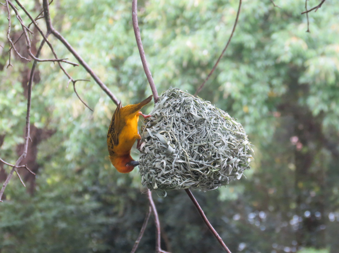 Cleopatra Mountain Farmhouse主图