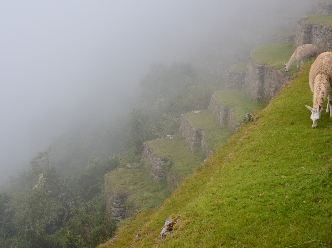 The Ruins of Intipata-马丘比丘必去景点