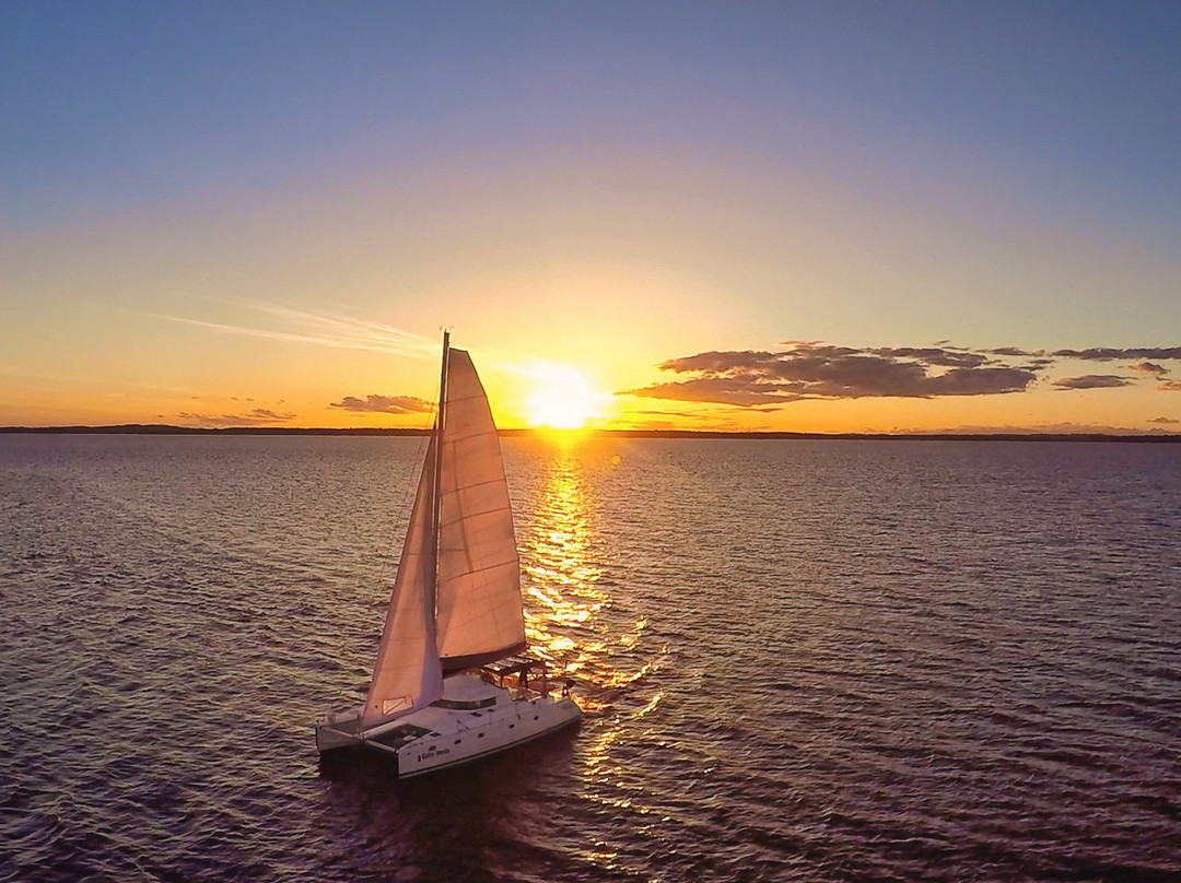 Gato Verde Adventure Sailing景点图片