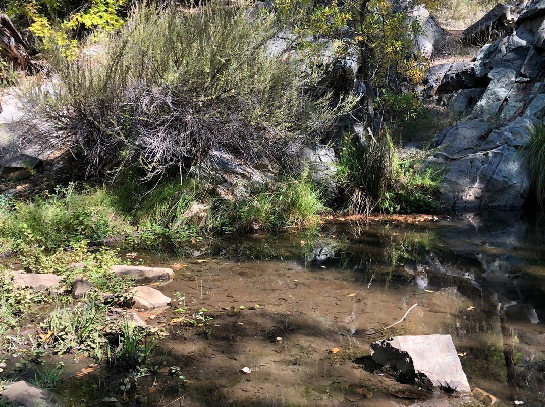 Prescott National Forest-普雷斯科特必去景点