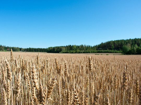 Vuolenkoski旅游攻略图片