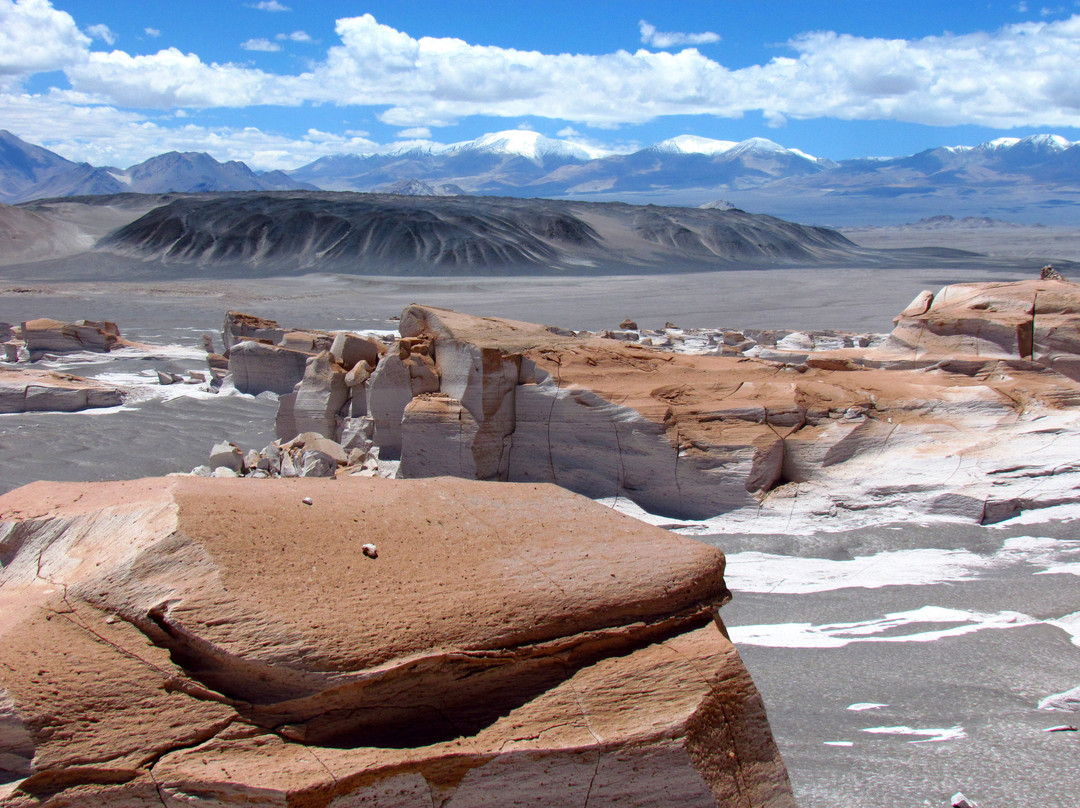 Campo de Piedra Pomez景点图片