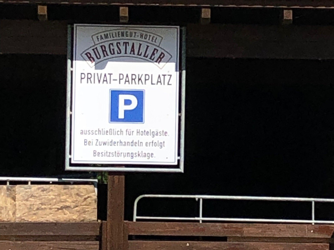Familiengut Hotel Burgstaller主图