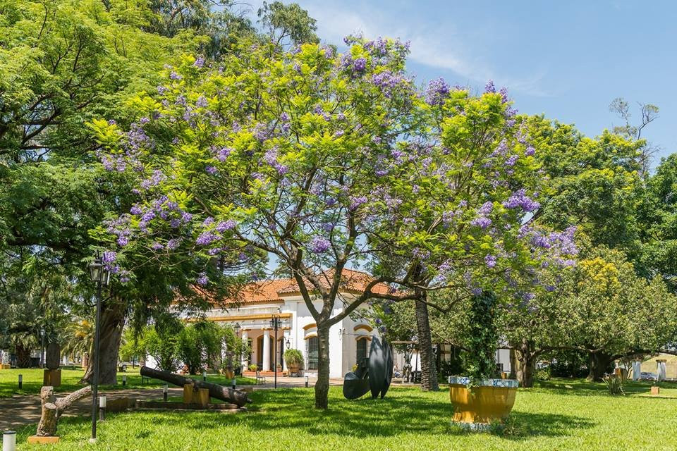 Museo Histórico Cornelio de Saavedra景点图片