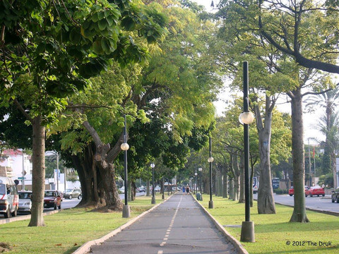 Avenida Salaverry-利马必去景点