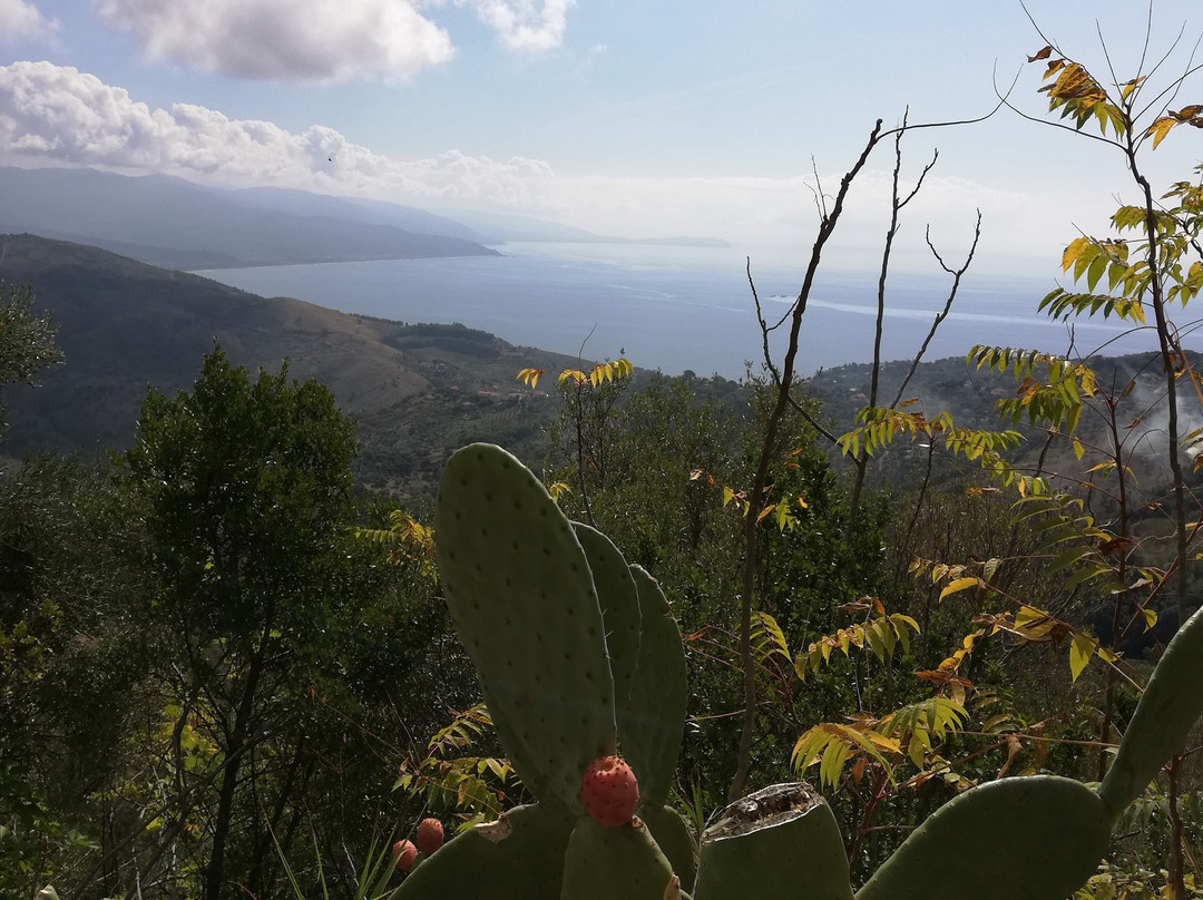 舞会天蓝酒店主图
