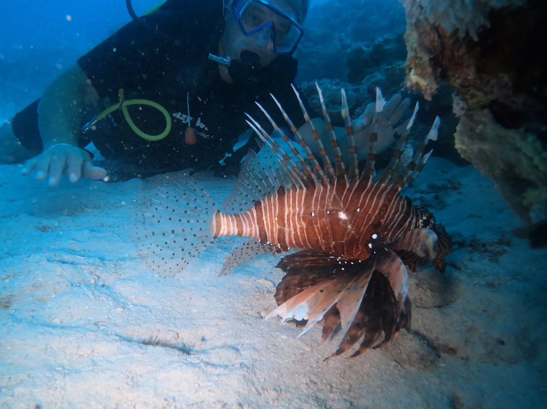 Crazy Waves Diving Club-赫尔格达必去景点
