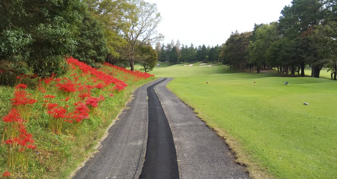 Tomisato Golf Club-芝山町必去景点
