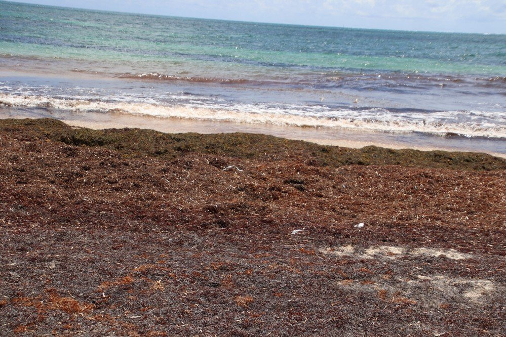 HOTEL CAP MACABOU主图