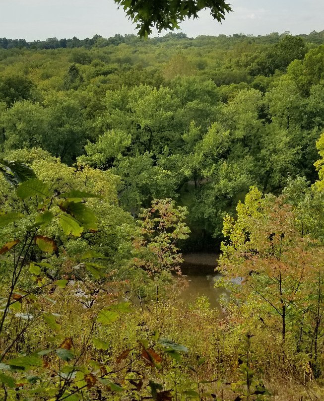 Clegg Memorial Garden-拉斐特必去景点