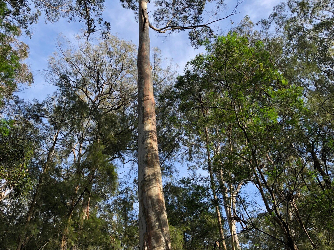 Sun Valley Fire Trail-Valley Heights必去景点