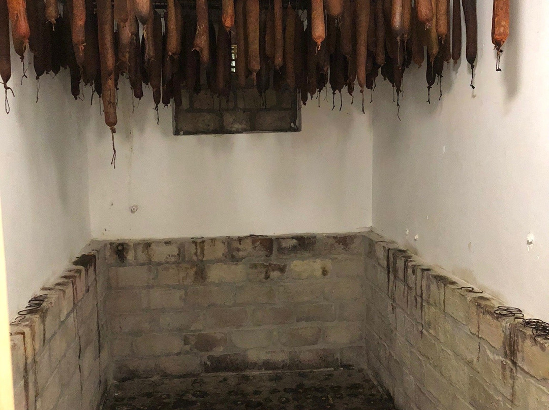 Tanyamuseum-久洛必去景点