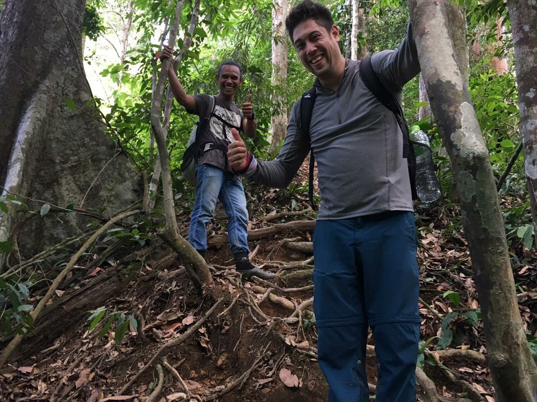 Sumatra trek and village tours-武吉拉旺必去景点