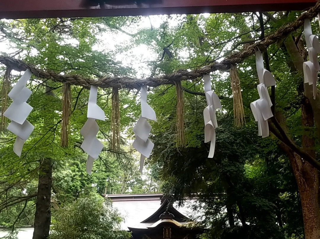 Hikawa Nyotai Shrine-埼玉市必去景点