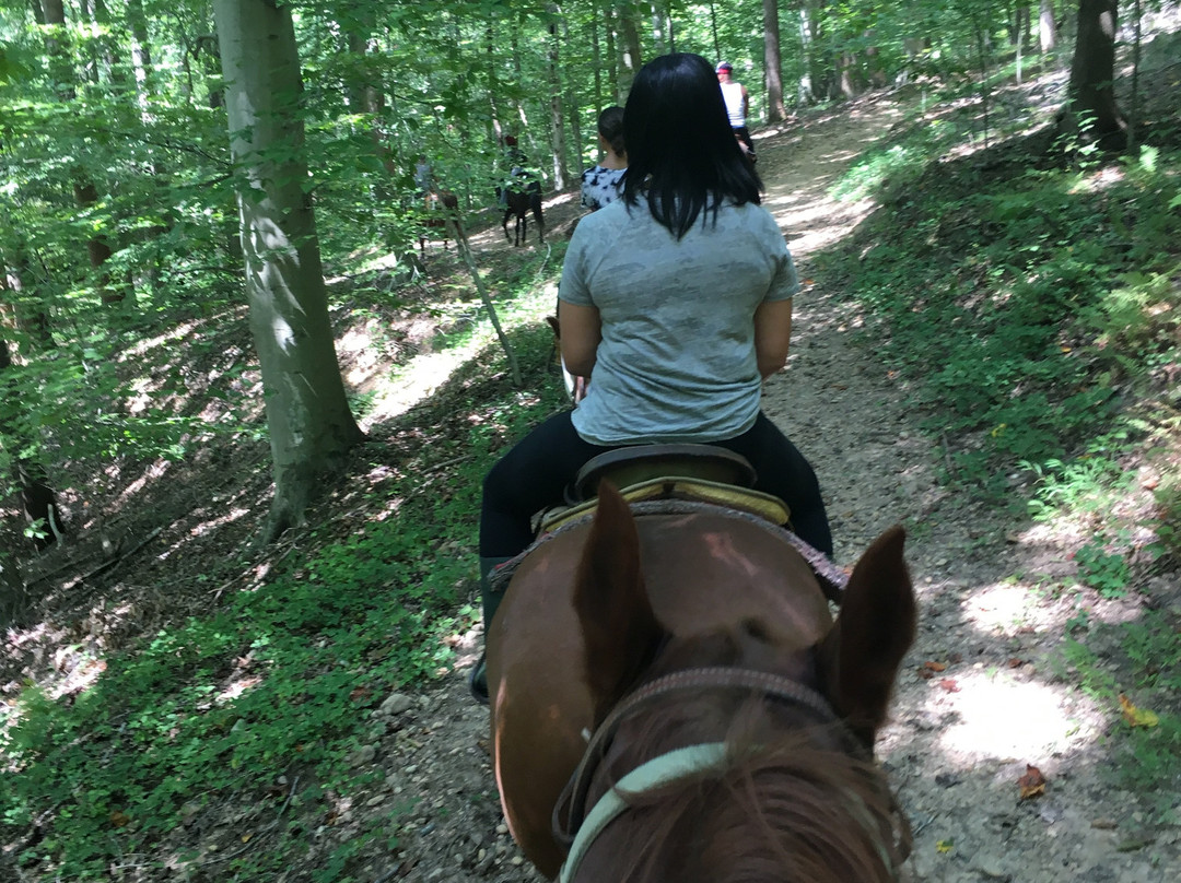 Piscataway Horse Farm-Clinton必去景点