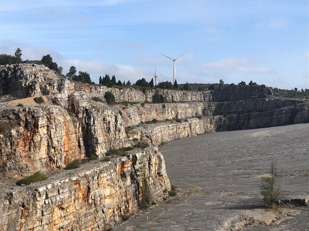 Natural Monument of the Dinosaur Footprints景点图片