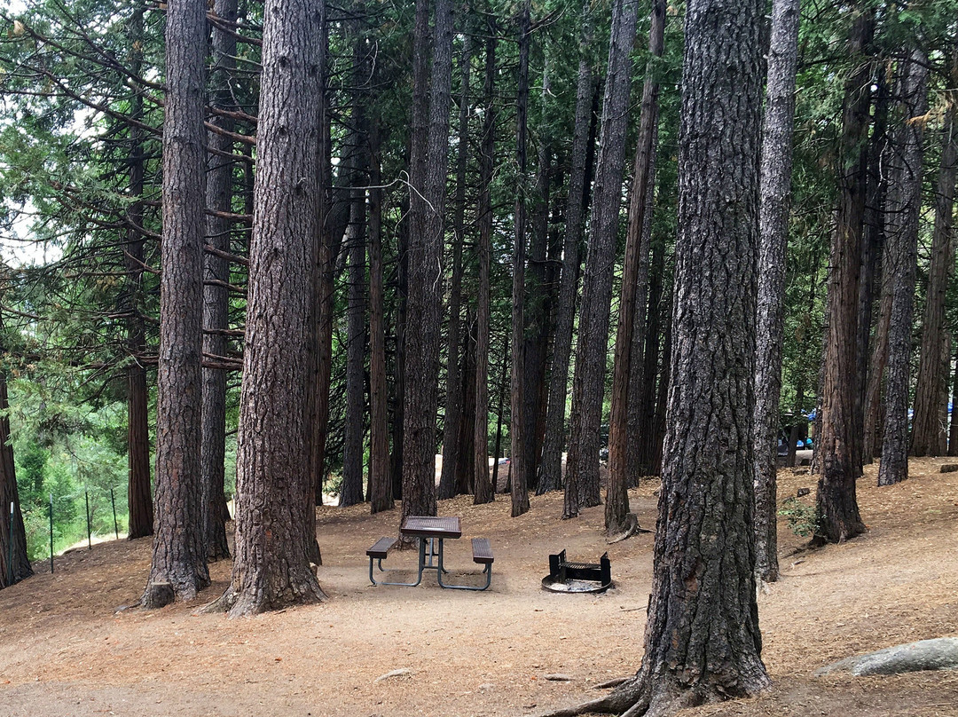 Idyllwild Park景点图片