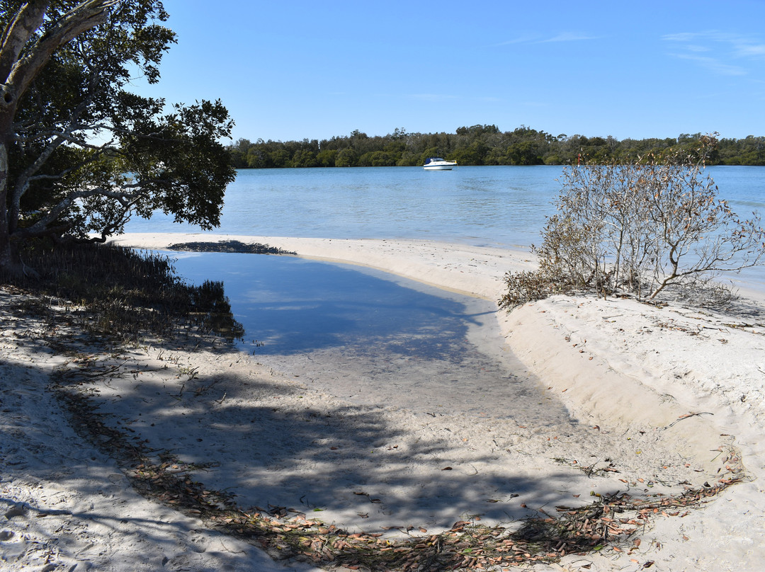 Koala Reserve Mangrove Boardwalk-柠檬树路必去景点