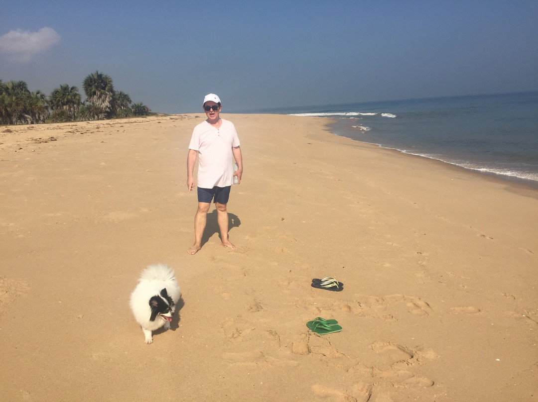 Thomson Beach House - Nayuka主图