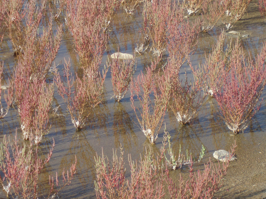 National Park of Kotychi and Strofylia Wetlands-Kalogria必去景点