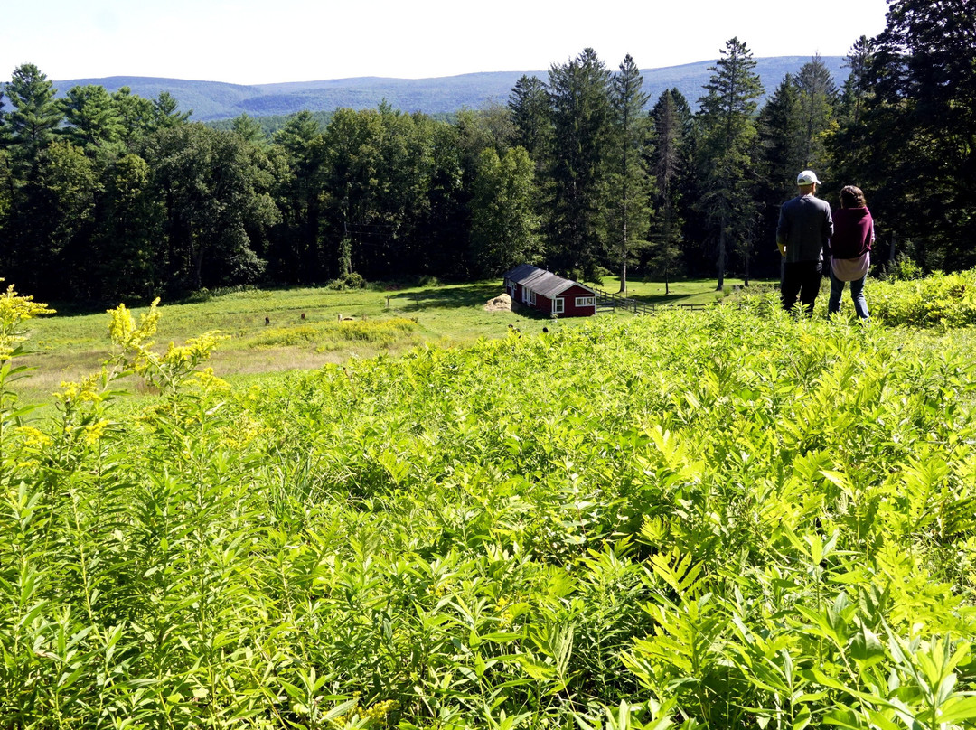 West Mountain Inn主图