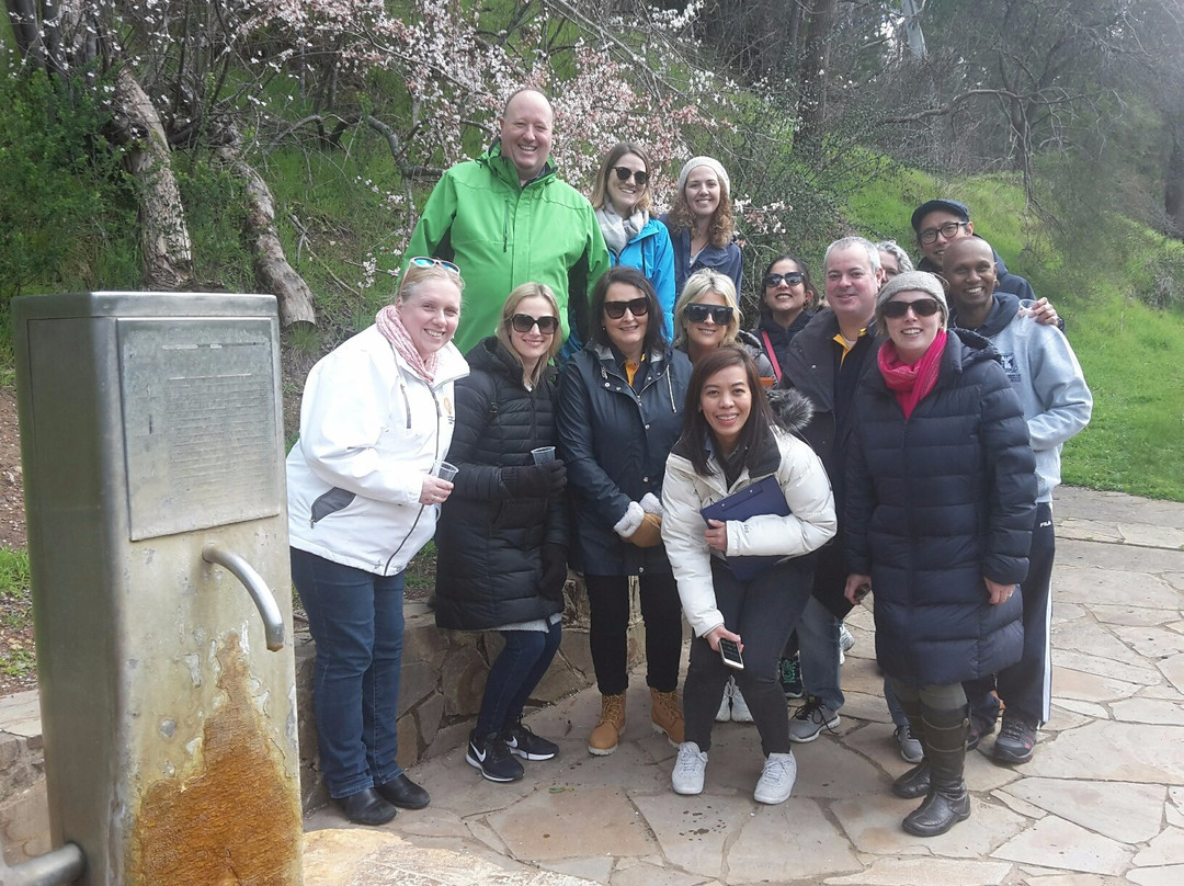 Secret Forest Walks-戴尔斯福特必去景点