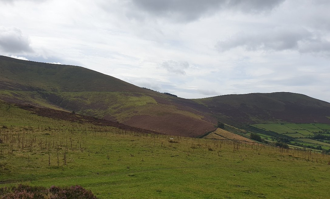 Mount Leinster-Bunclody必去景点